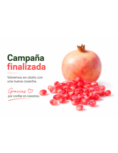 granada mollar de elche, zumo